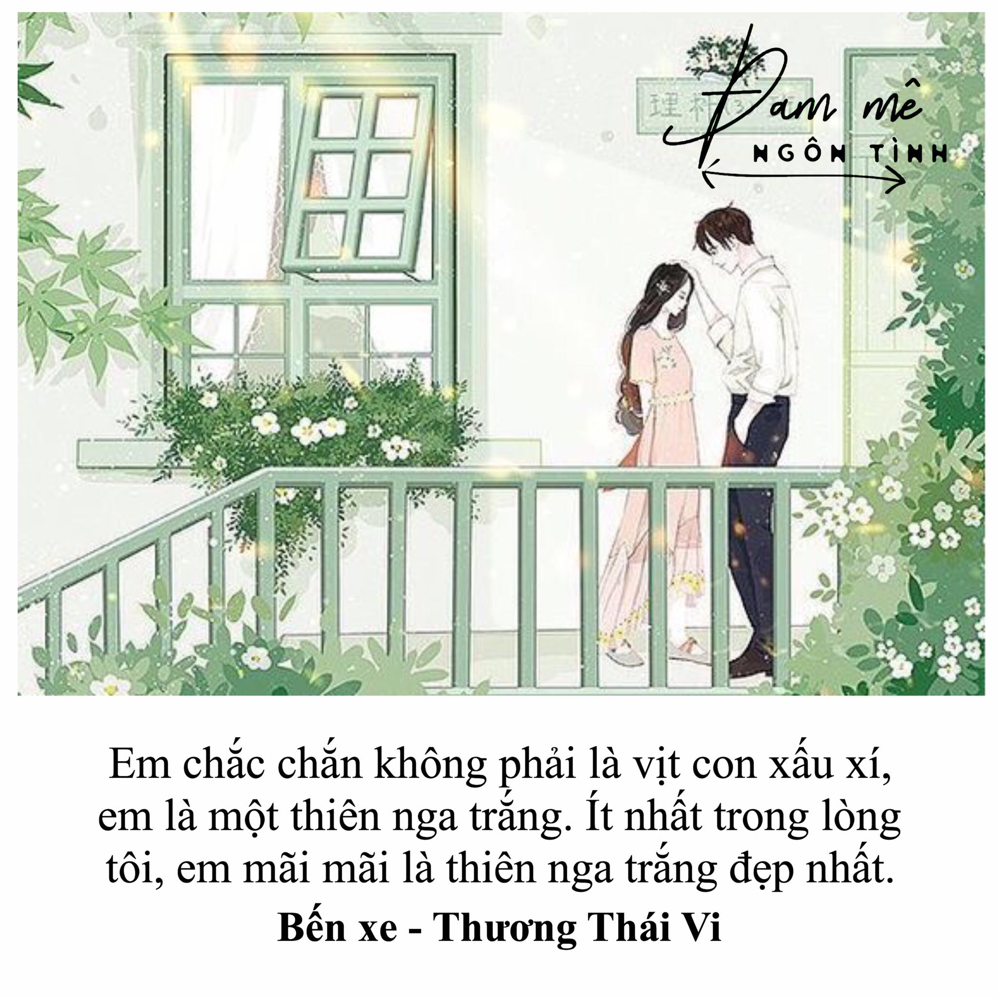 Bến Xe – Thương Thái Vi